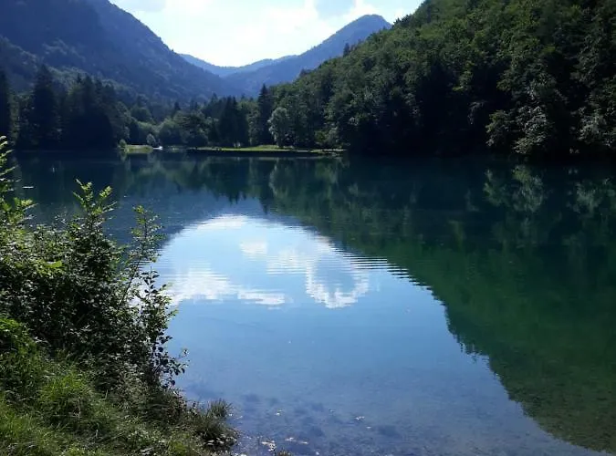 Mojca Near Bled * Zabreznica